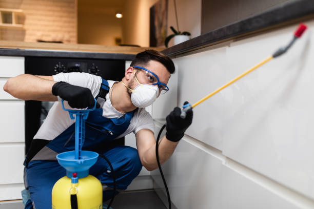 Best Affordable Pest Control Services  in Elko, NV
