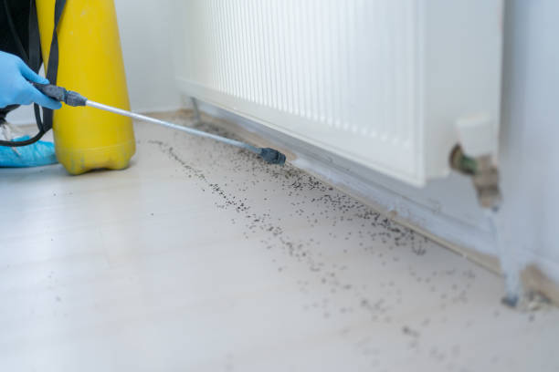 Best Commercial Pest Control Services  in Elko, NV
