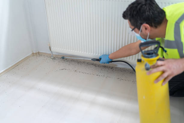 Best Ant Control Services  in Elko, NV