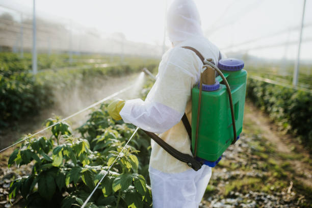 Professional Pest Control in Elko, NV